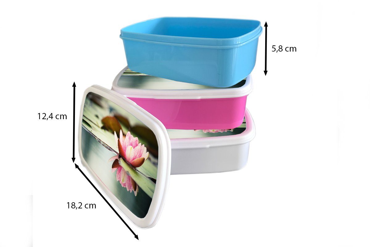 MuchoWow Lunchbox Seerose - Blumen für Kinder, Kunststoff Snackbox, - Kunststoff, Erwachsene, Brotbox Wasser, rosa Mädchen, Brotdose (2-tlg)