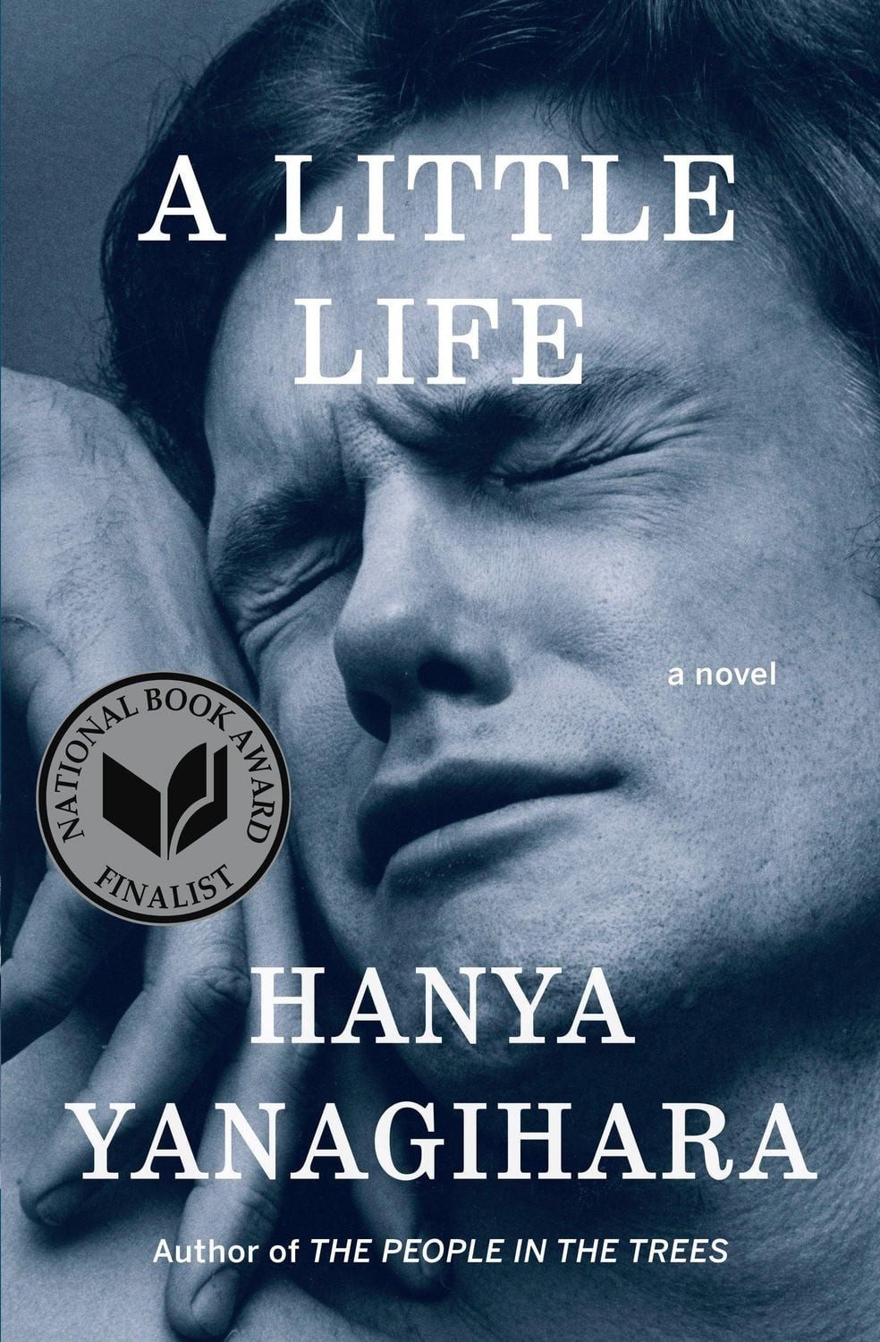 A Little Life / Hanya Yanagihara
