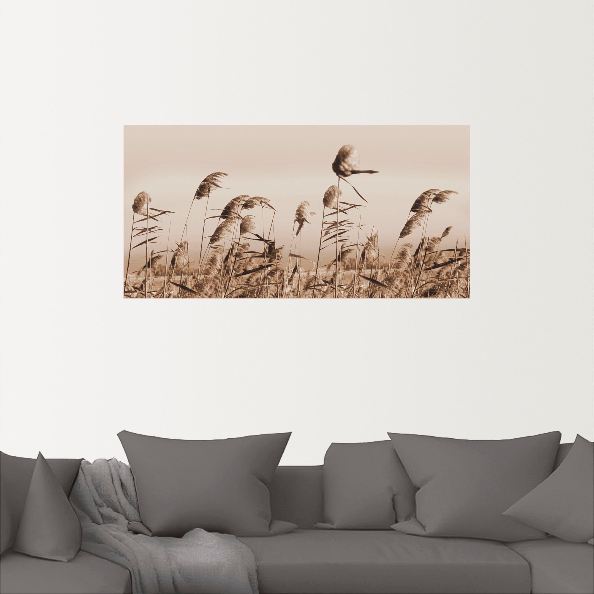 Artland Wandbild Gräser, Gräser (1 St), günstig online kaufen