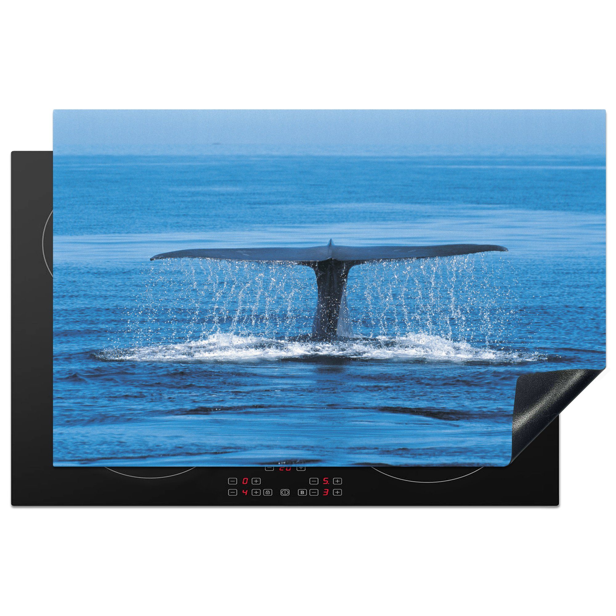 MuchoWow Herdblende-/Abdeckplatte Blauwal - Schwanz eines Wals, Vinyl, (1 tlg), 81x52 cm, Induktionskochfeld Schutz für die küche, Ceranfeldabdeckung