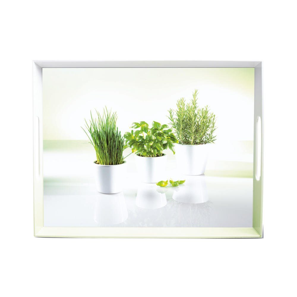 Emsa Tablett Classic Herbs 50 cm, Kunststoff