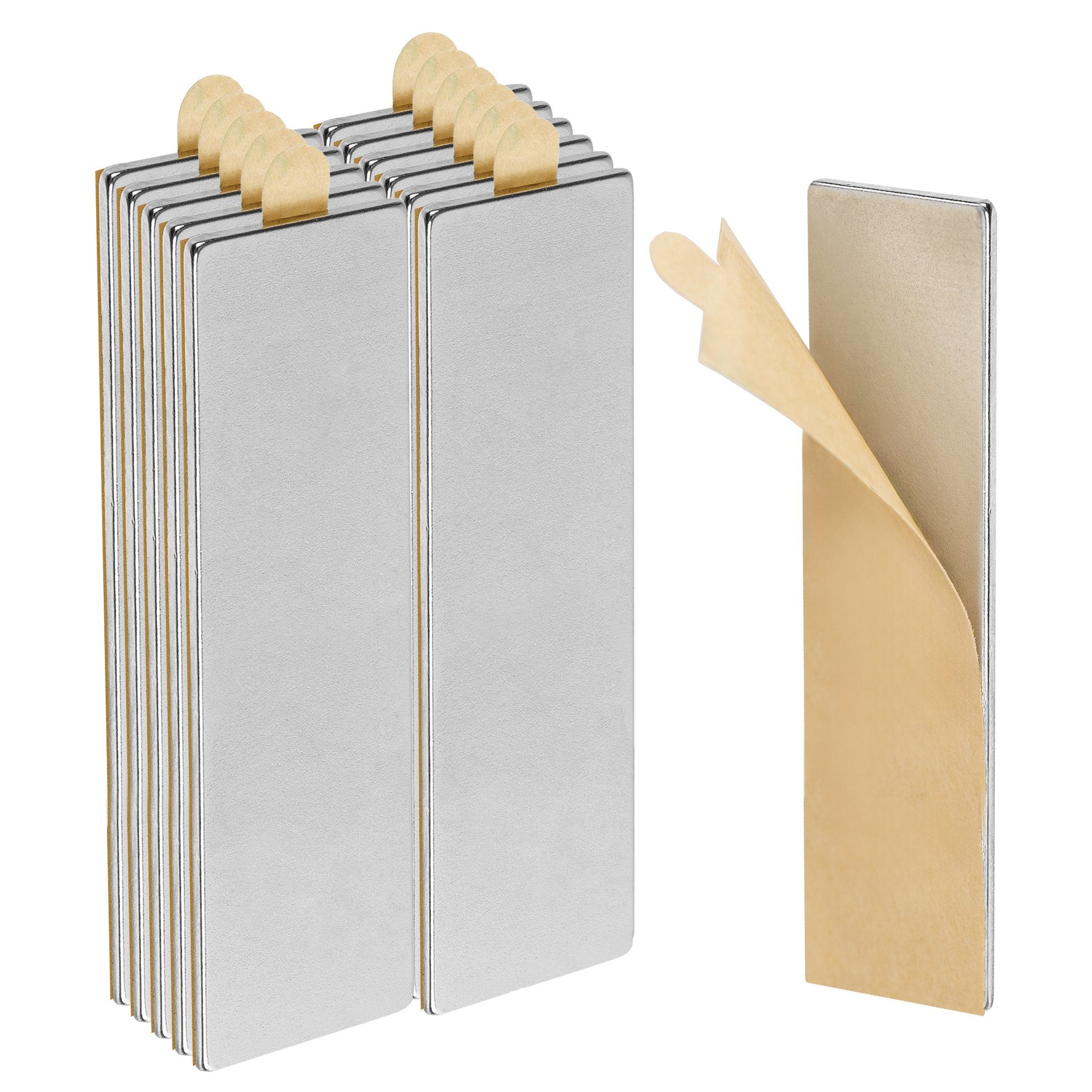 ECENCE Magnet (12-St)