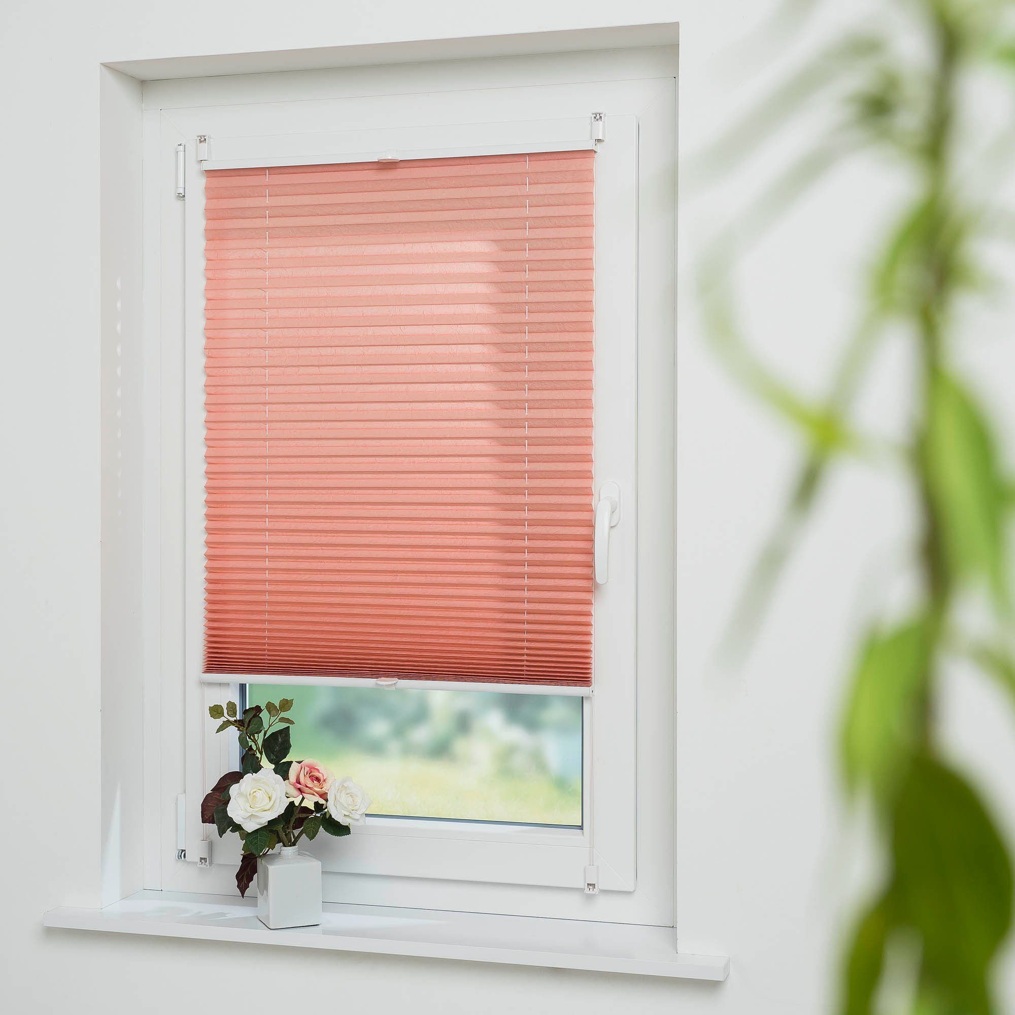 Liedeco Plissee Lachs, Lichtschutz, ohne Bohren, verspannt, Klemmfix günstig online kaufen