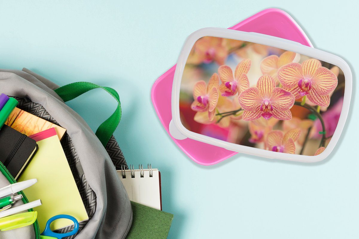 Lunchbox für Erwachsene, Pflanze Rosa - Blumen Kunststoff MuchoWow Brotdose (2-tlg), - - Kunststoff, Kinder, Flora, Orchidee Mädchen, - Brotbox Snackbox,
