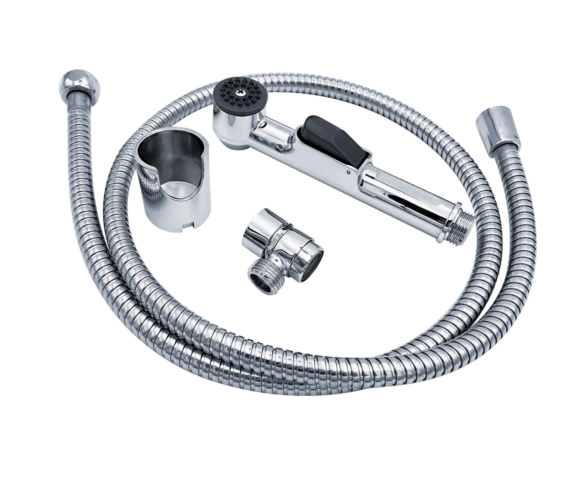 Ridder Duschbrause Lyon chromfarben günstig online kaufen