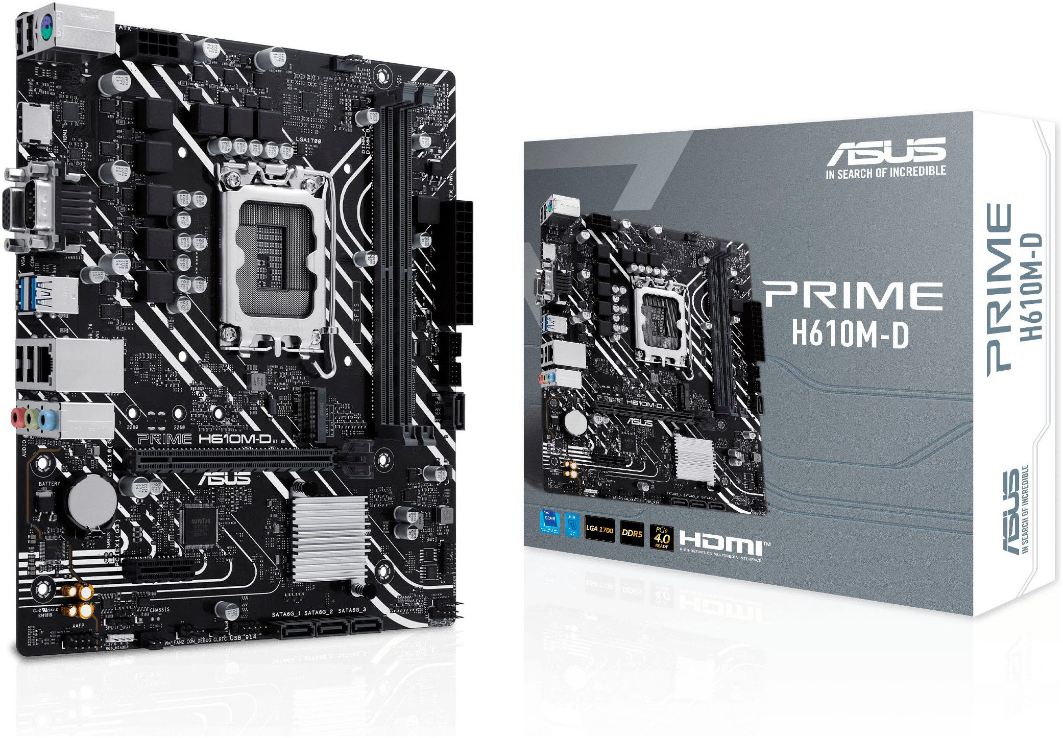 Asus PRIME H610M-D Mainboard