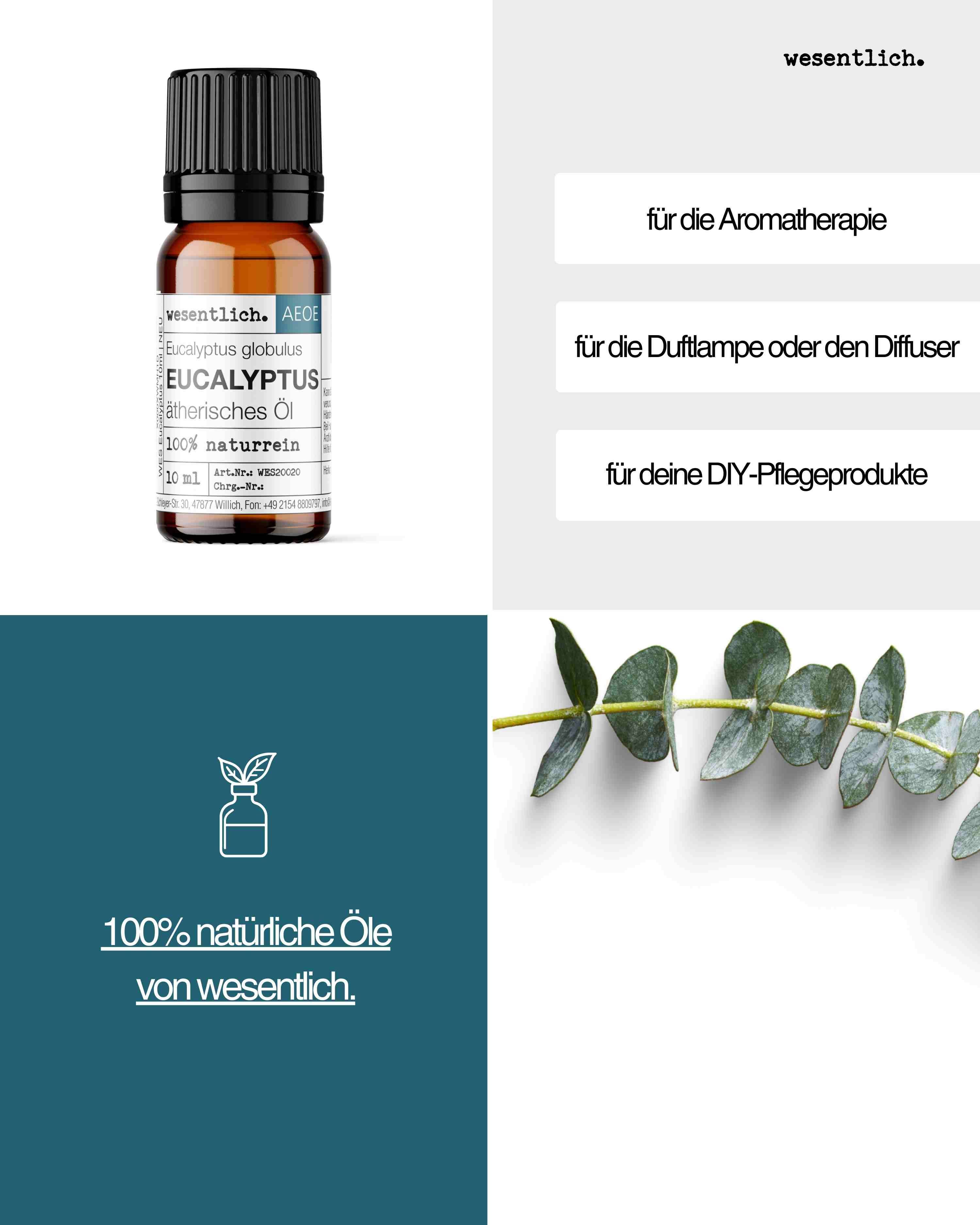 wesentlich. Duftöl Eukalyptus globulus 10ml - ätherisches Öl