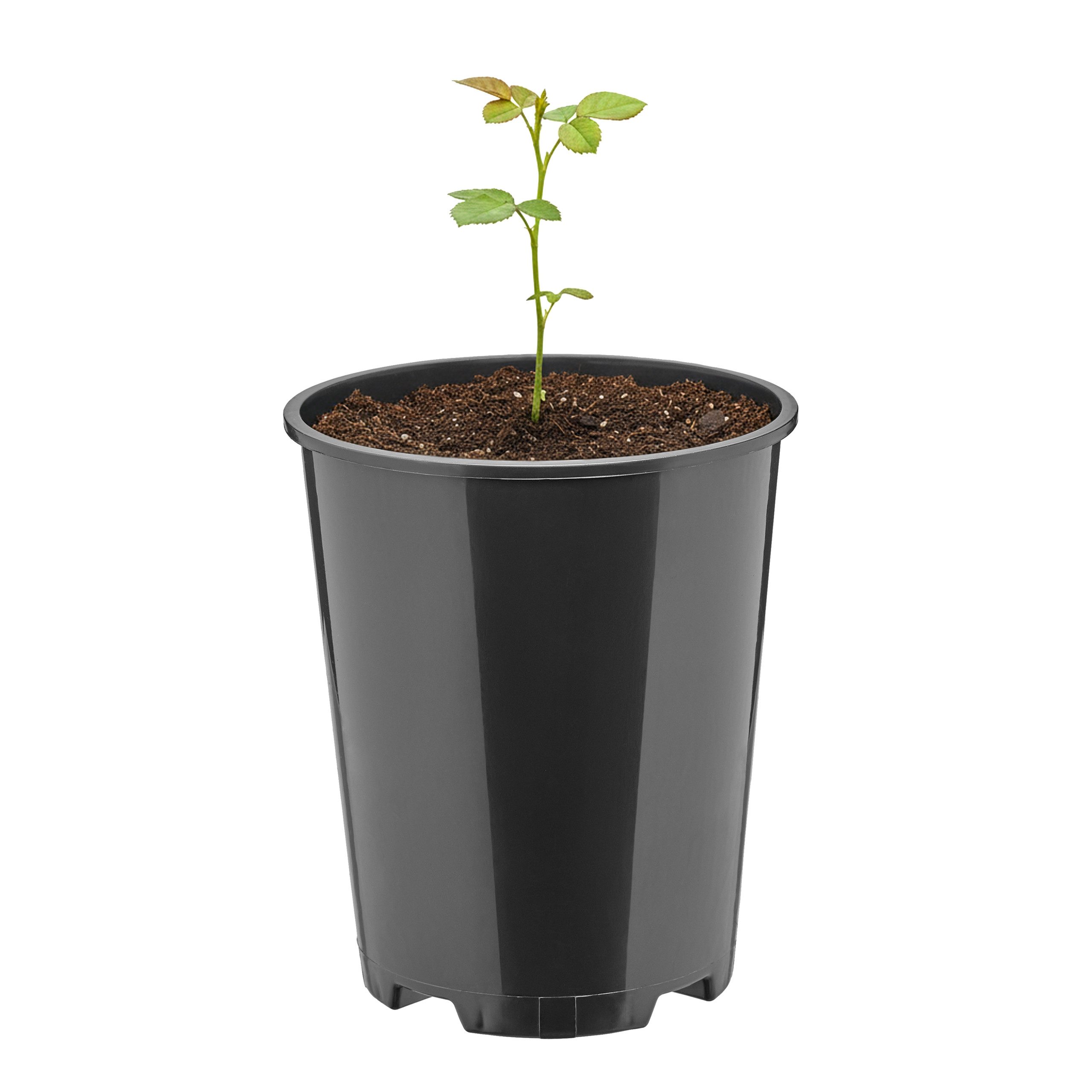 Garronda Blumentopf rund Kunststoff mit Drainagelöchern für Garten GD-0204 (1 St)