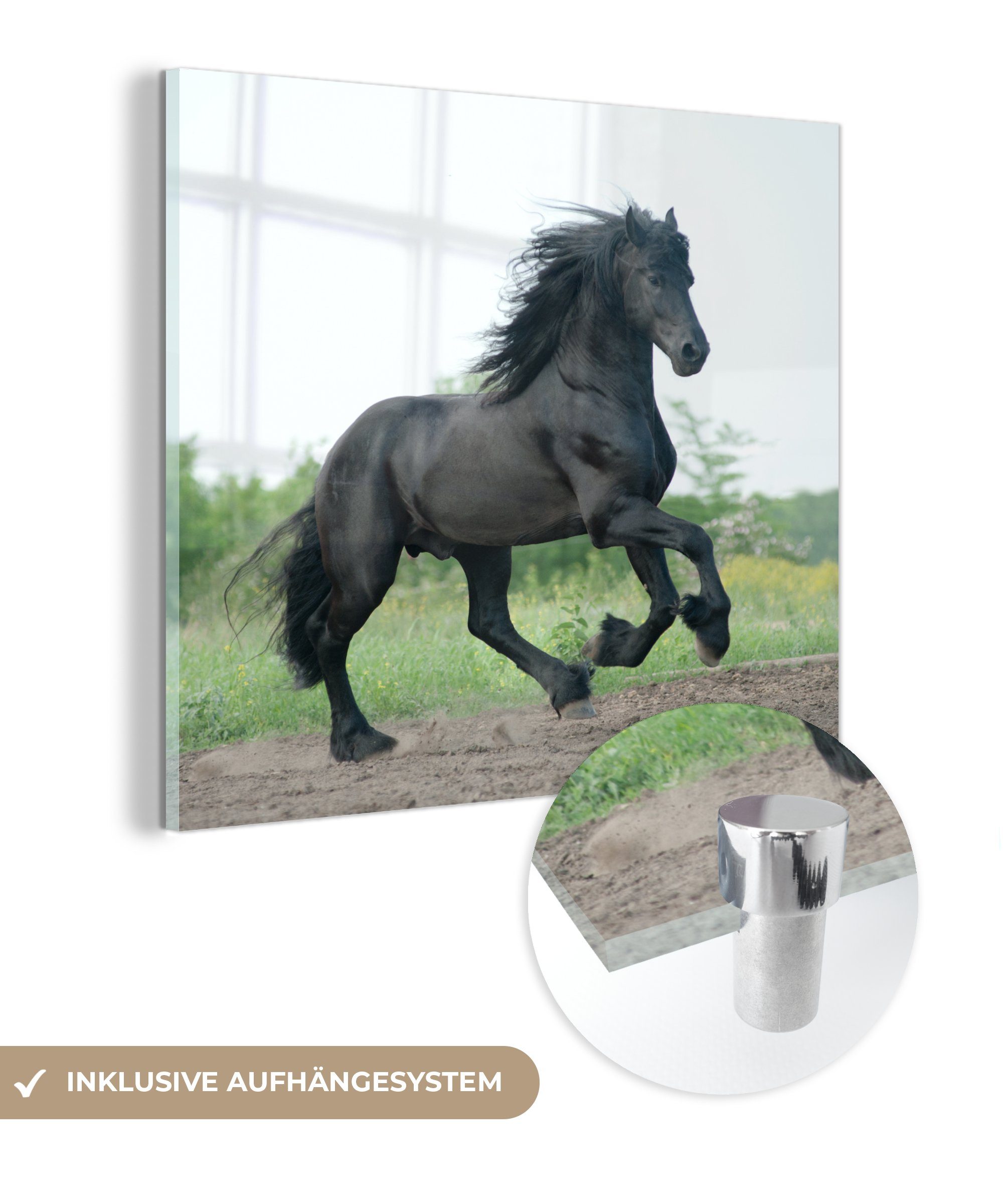 MuchoWow Acrylglasbild Pferd - Schwarz - Natur, Inkl. Aufhängung, Bilder auf Glas Wandbild, Wanddeko Wohnzimmer Badezimmer, 20x20 cm