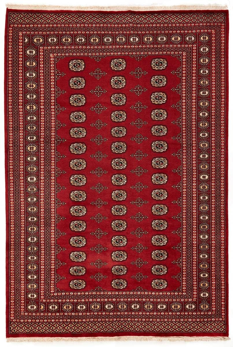 Orientteppich Pakistan Buchara Trading, Orientteppich, 2ply Höhe: mm 185x270 rechteckig, Handgeknüpfter 8 Nain