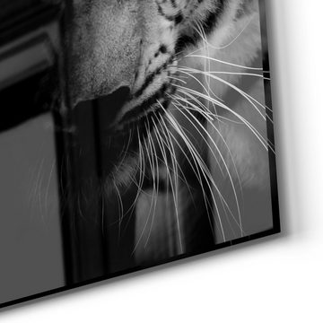 DEQORI Glasbild 'Leopard und Tiger', 'Leopard und Tiger', Glas Wandbild Bild schwebend modern