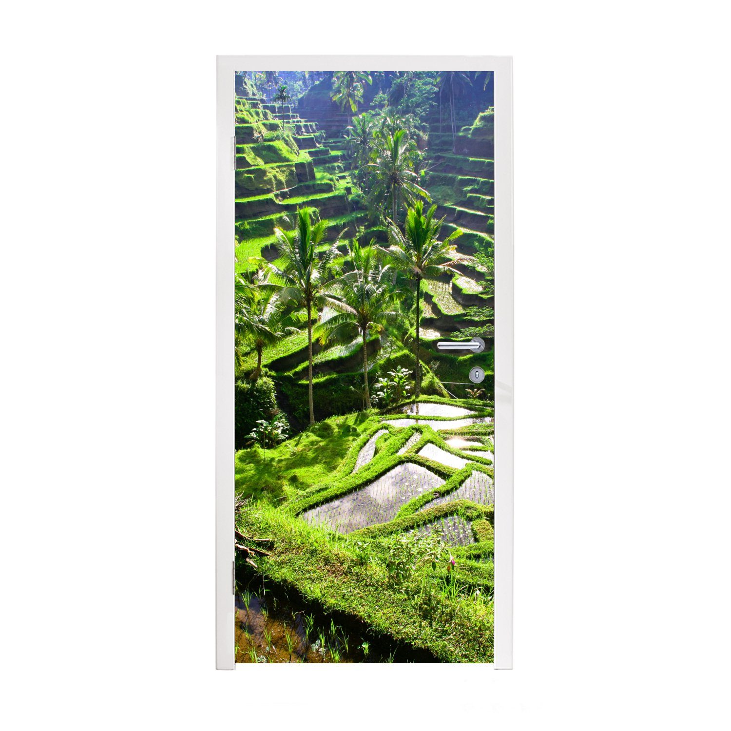MuchoWow Türtapete Spektakuläre Reisfelder nördlich von Ubud, Matt, bedruckt, (1 St), Fototapete für Tür, Türaufkleber, 75x205 cm