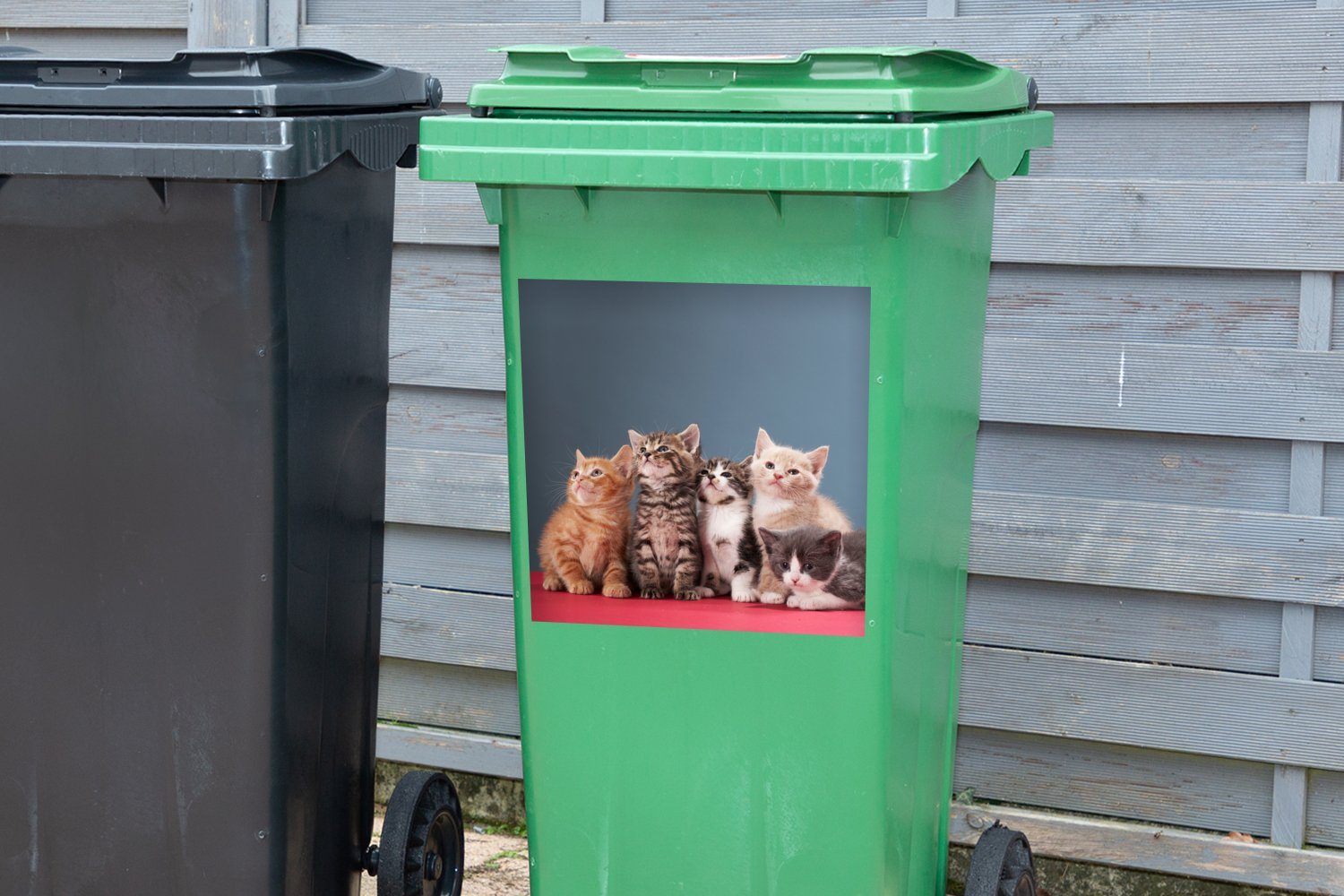 Kind Kätzchen Blau - Rosa - Mülleimer-aufkleber, - - (1 Abfalbehälter - St), - Wandsticker Kinder Container, Mädchen MuchoWow Mülltonne, Sticker, Jungen