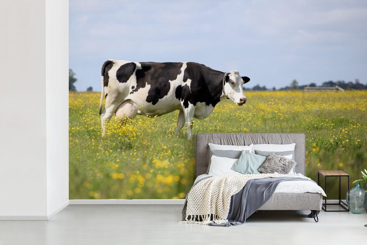 Wohnzimmer, Tapete - Gras MuchoWow Wallpaper St), - bedruckt, Blumen, Vinyl Kuh Fototapete (6 Matt, für Kinderzimmer, Schlafzimmer,