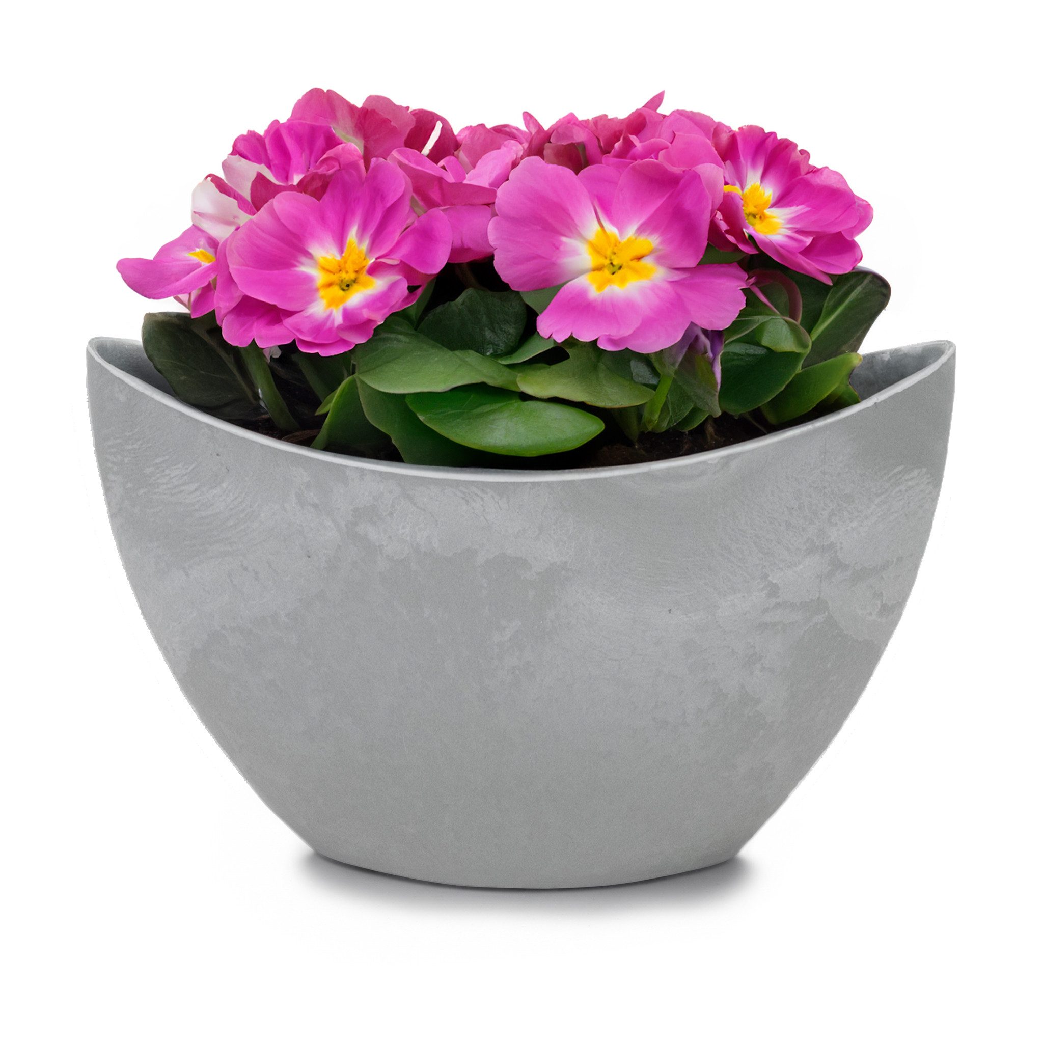 matches21 HOME & HOBBY Blumentopf Hohe günstig online kaufen