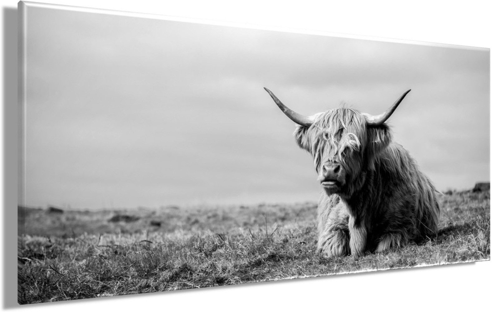 Bönninghoff Bild HOCHLANDRIND LIEGEND 33x70 cm – Leinwandbild Keilrahmen Deko modern