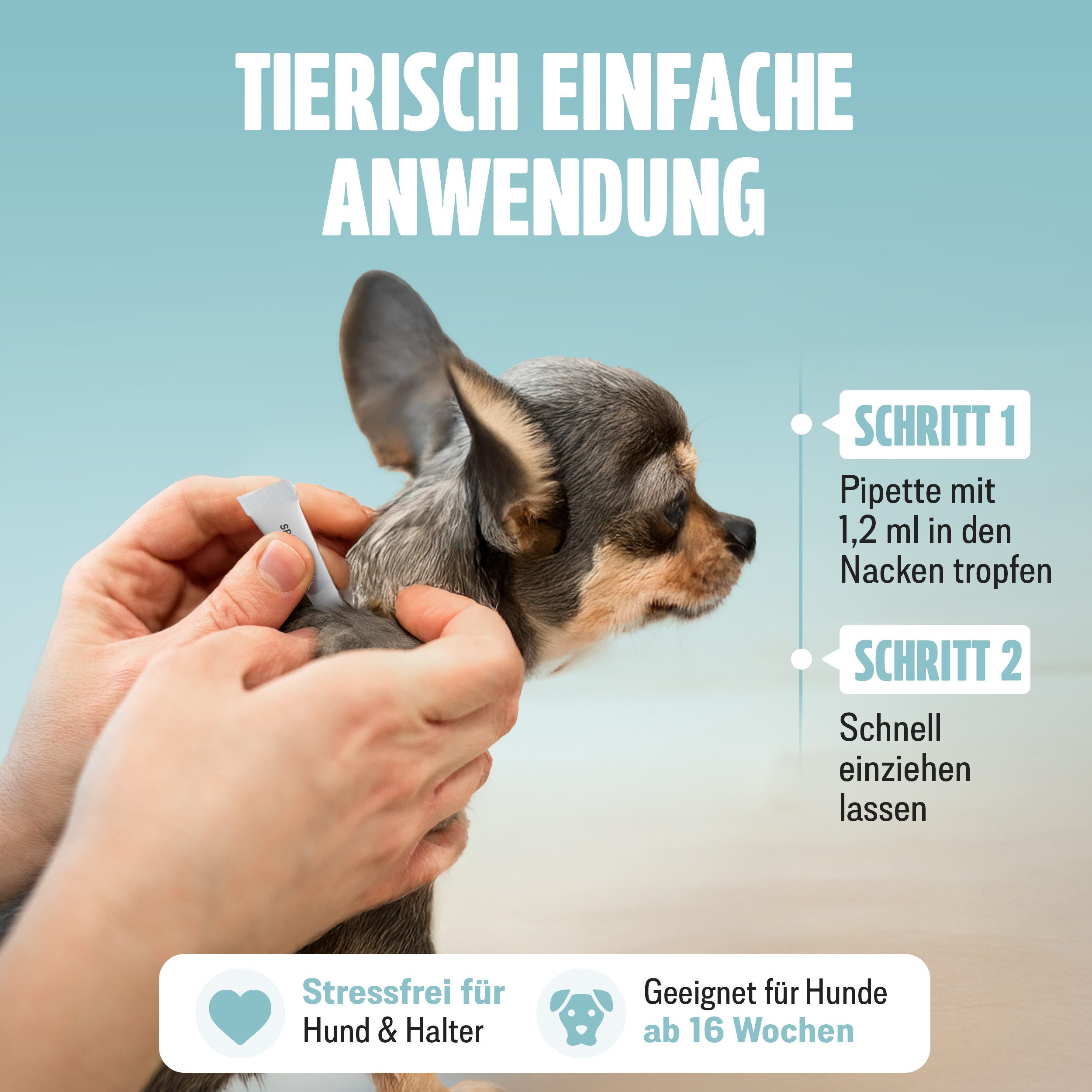 FUTUM Zeckenschutzmittel Spot on für Hunde, 36 ml, MADE IN GERMANY