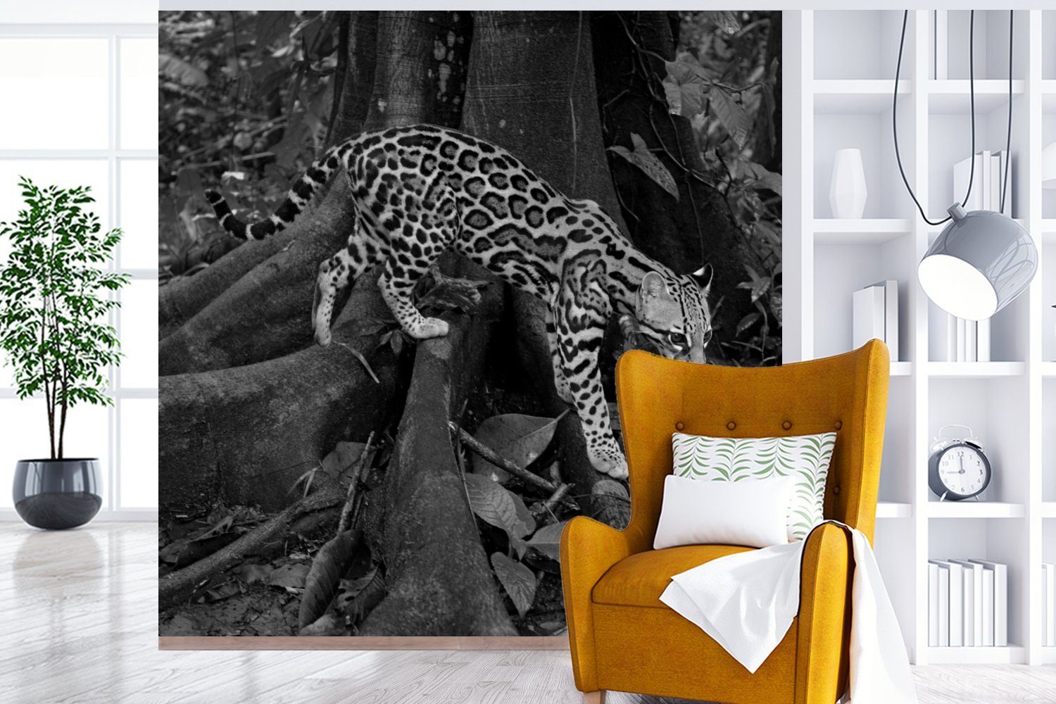 oder St), Dschungel Rica Wohnzimmer Weiß, bedruckt, Costa im von und Schwarz Schlafzimmer, für Wandtapete in Tapete Ozelot Fototapete MuchoWow (5 Vinyl Matt,