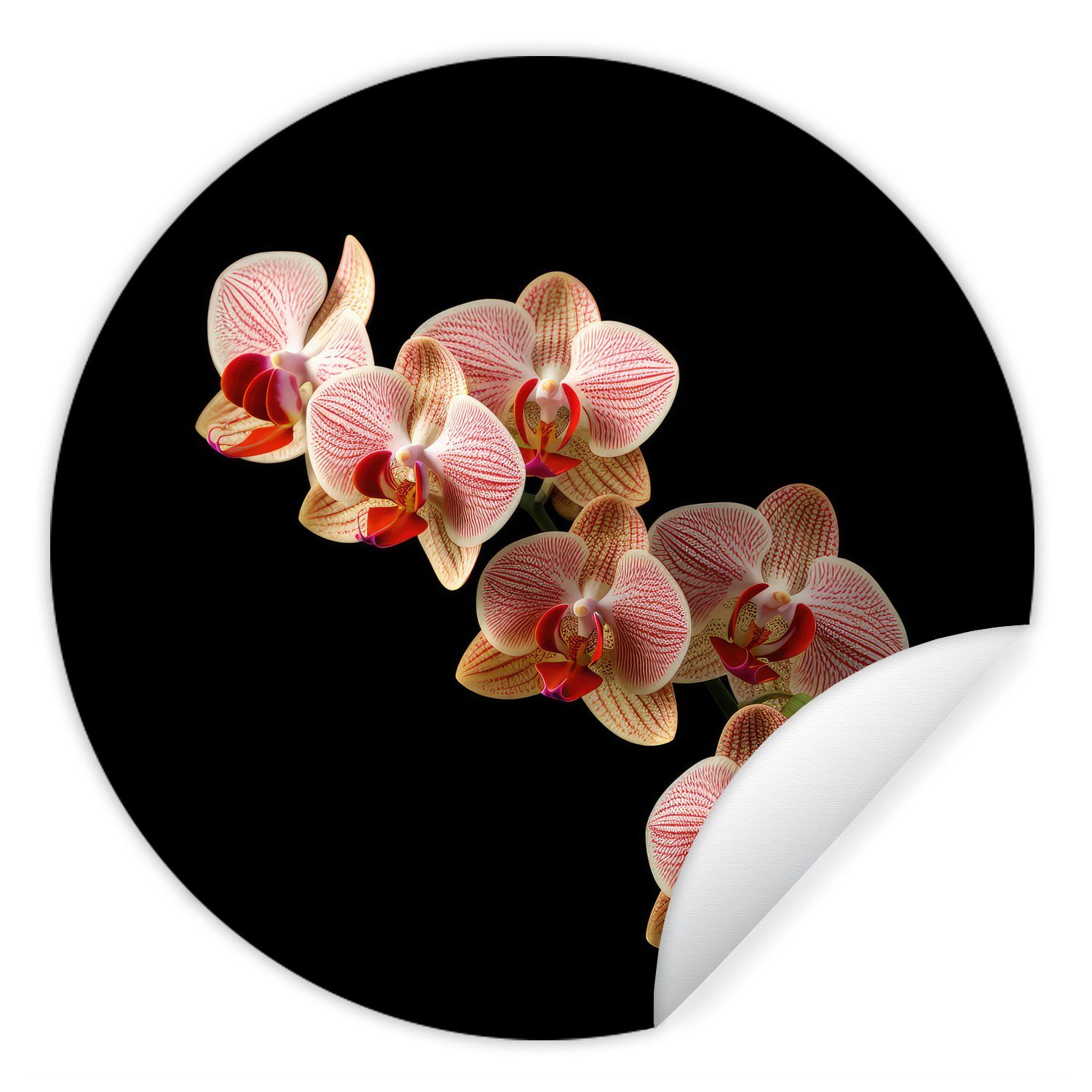 MuchoWow Wandsticker Blumen - Orchidee - Rosa - Botanisch - Natur (1 St), Tapetenkreis für Kinderzimmer, Tapetenaufkleber, Rund, Wohnzimmer