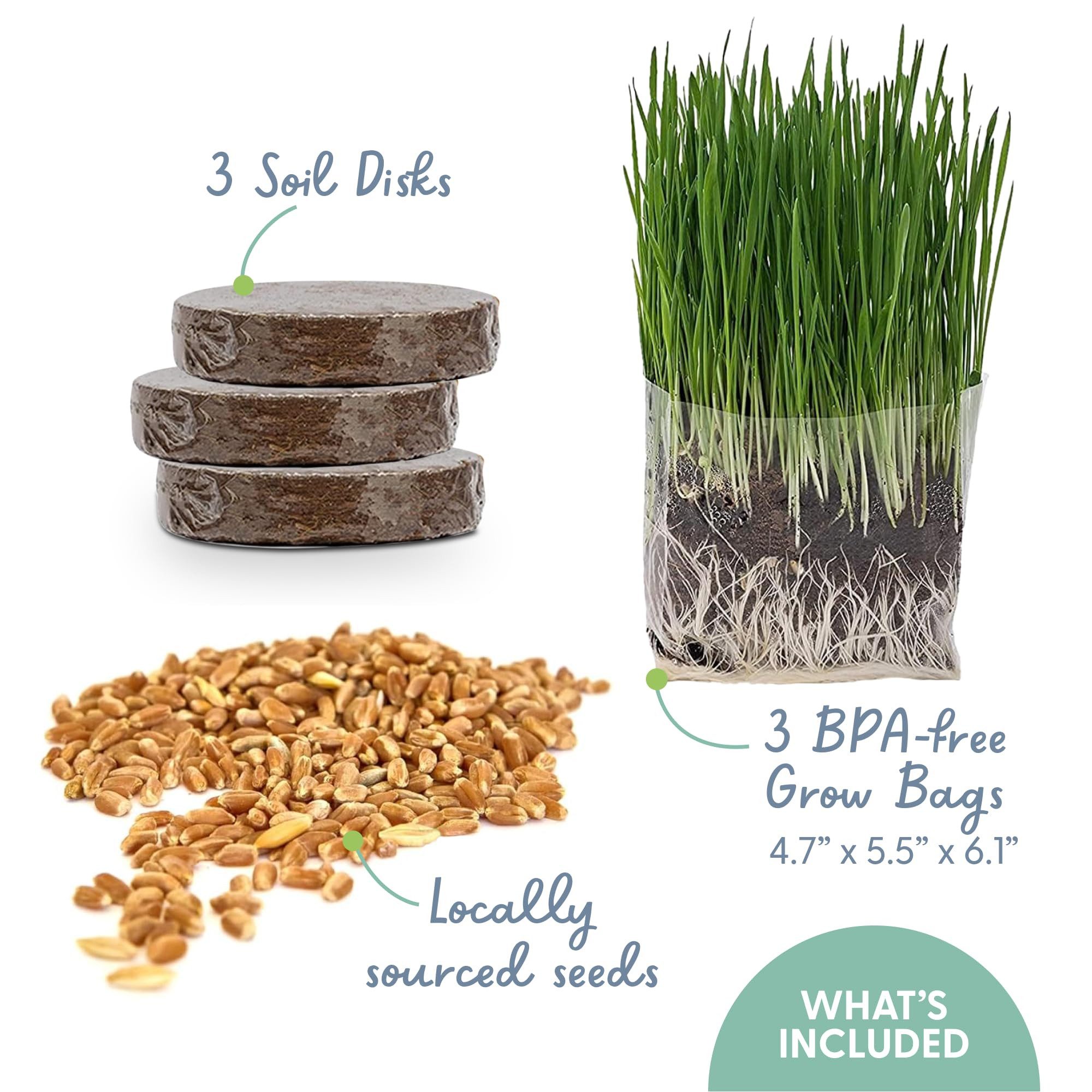 The Cat Ladies Rasensamen 3er Set Katzengras Samen Gras Anzuchtset für Katz günstig online kaufen