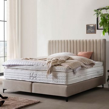 BettCo Boxspringbett Paris (in Beige Samt, 140 x 200 cm), Pfeifensteppung Design + optionaler Topper, Schwarze Metallfüße