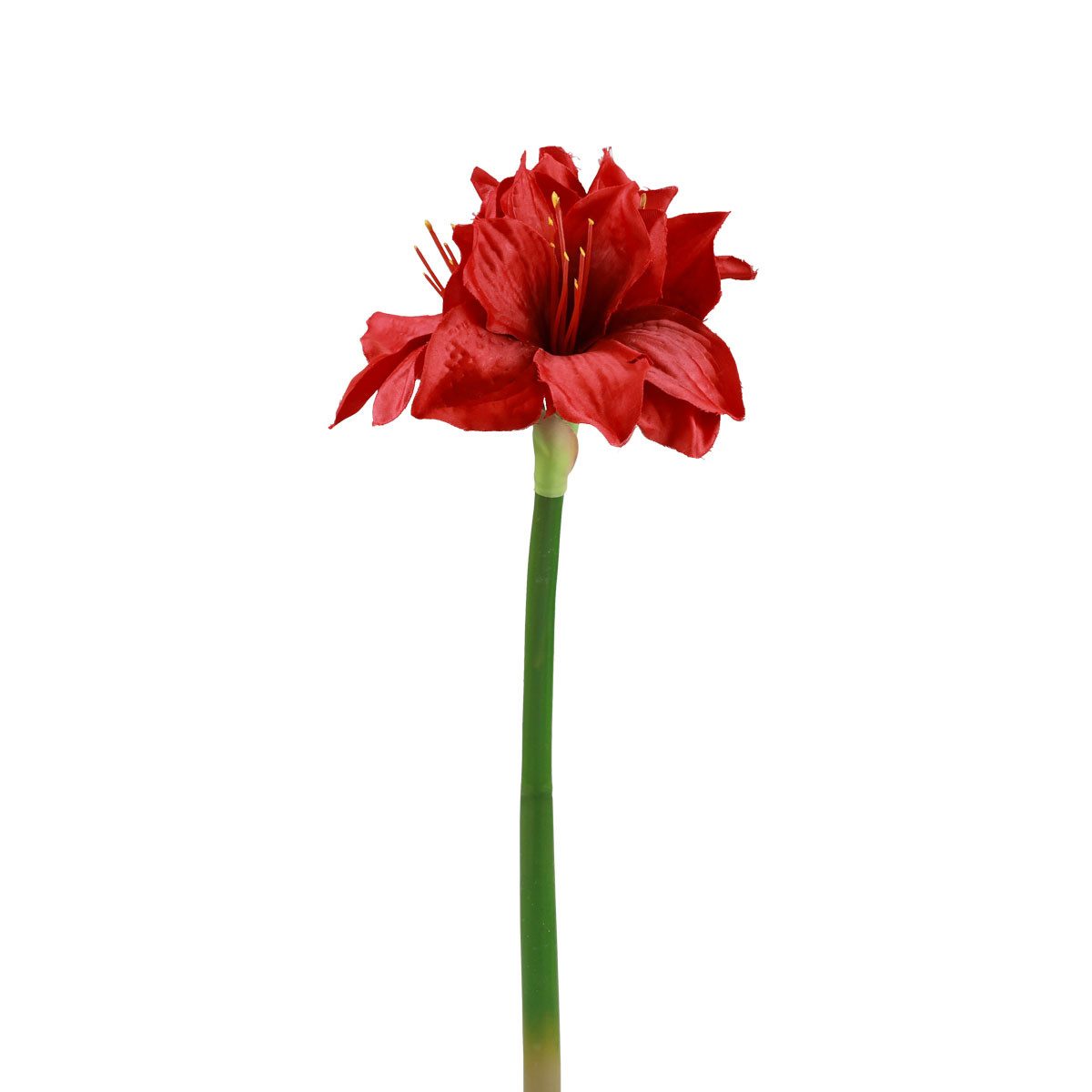 Winterliche Kunstpflanze Künstliche Amaryllis Weihnachtsblumen Dekoration Kunstblumen, Florists Products, Höhe 1 cm