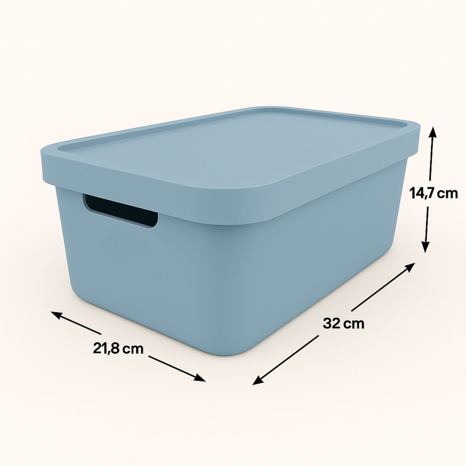 Plastard Aufbewahrungsbox mit Deckel von 7,5 - 31 Liter in verschied, Farbe günstig online kaufen