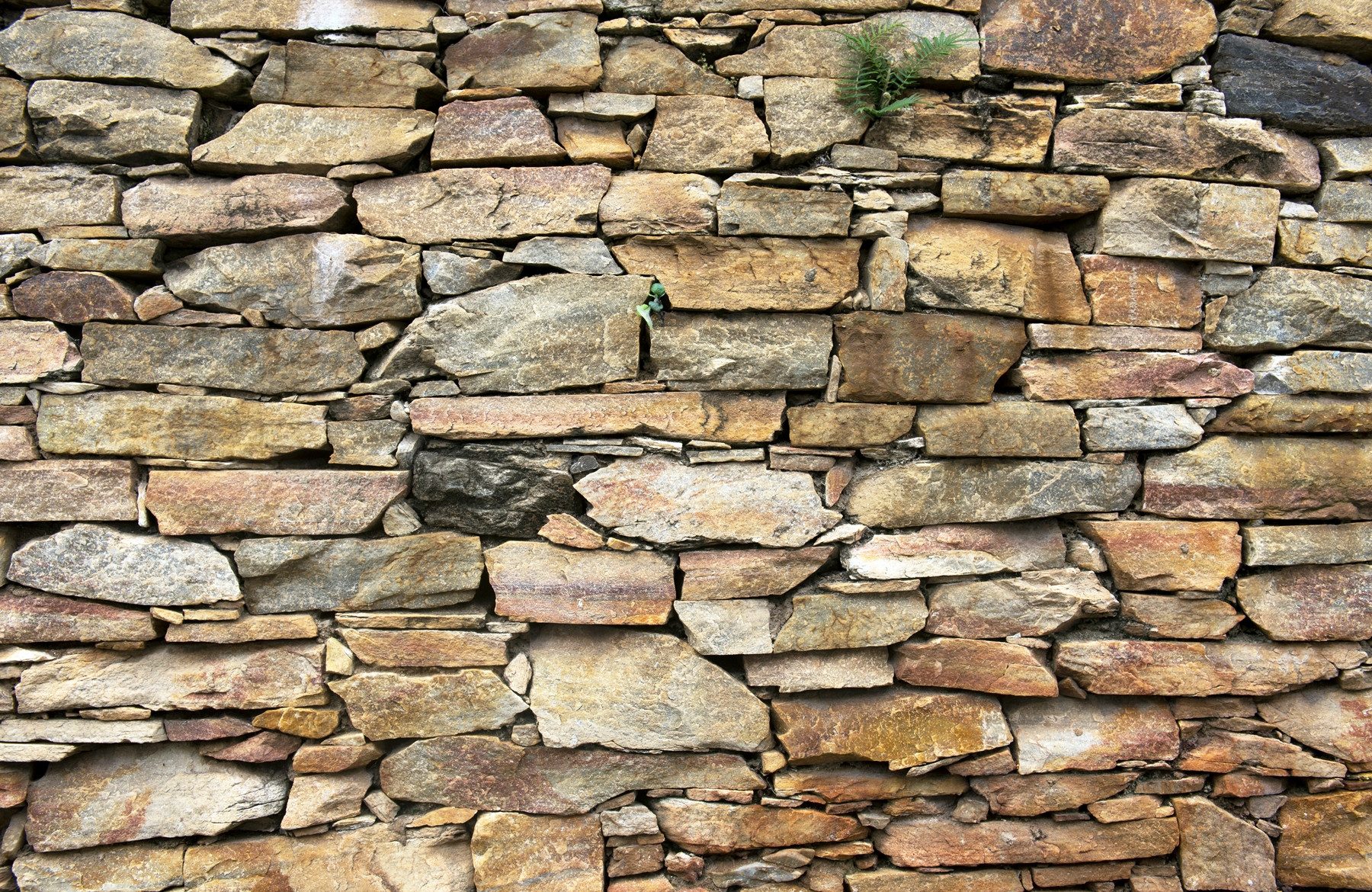 Fototapete VLIES-Tapete Premium "Steinwand"