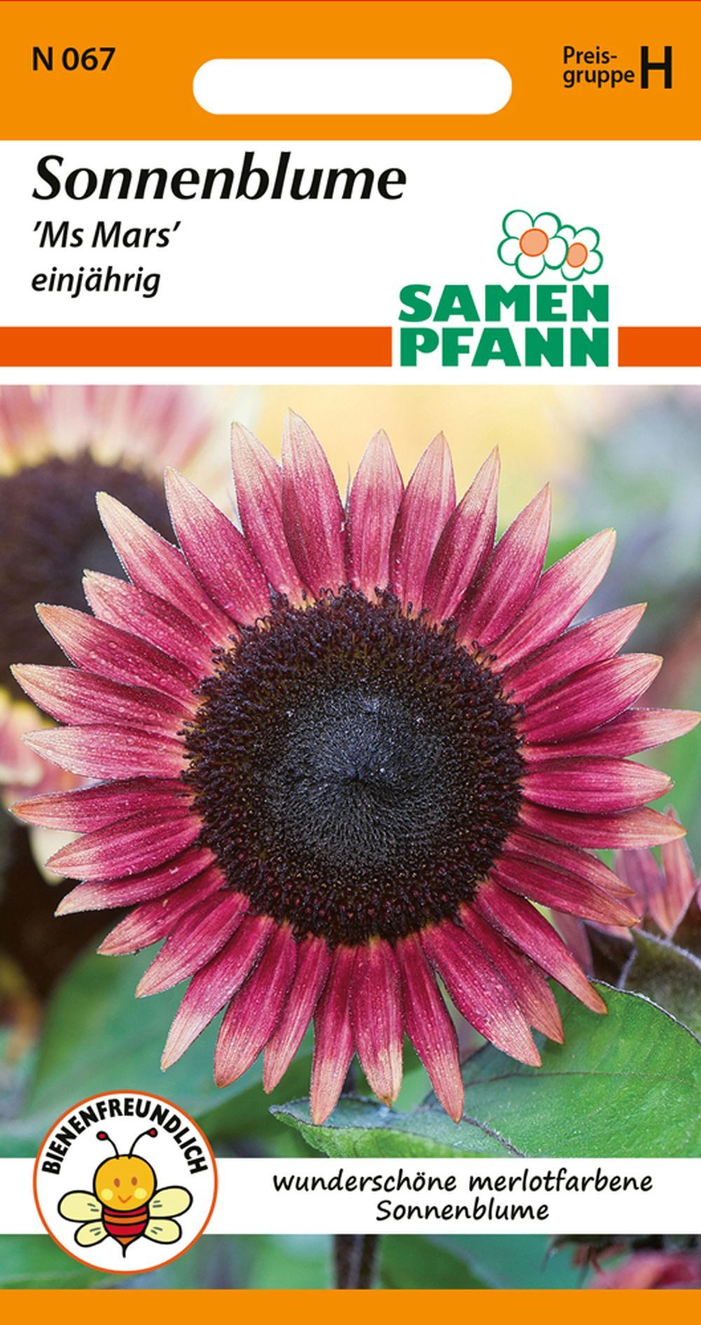 SAMEN PFANN Blumensamen Sonnenblume, Ms Mars - Saatgut SonnenSamen, Helianthus annuus