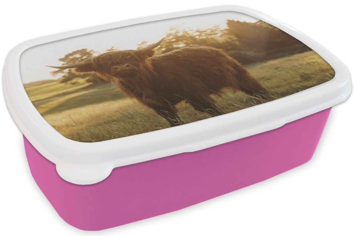 rosa (2-tlg), Lunchbox Snackbox, - Sonne, - Gras Brotdose Mädchen, Kunststoff MuchoWow Erwachsene, Hochländer Schottischer Kinder, Brotbox Kunststoff, für