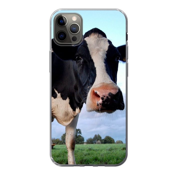 MuchoWow Handyhülle Kuh - Bauernhof - Gras - Tiere Handyhülle Apple iPhone 13 Pro Max Smartphone-Bumper Print Handy