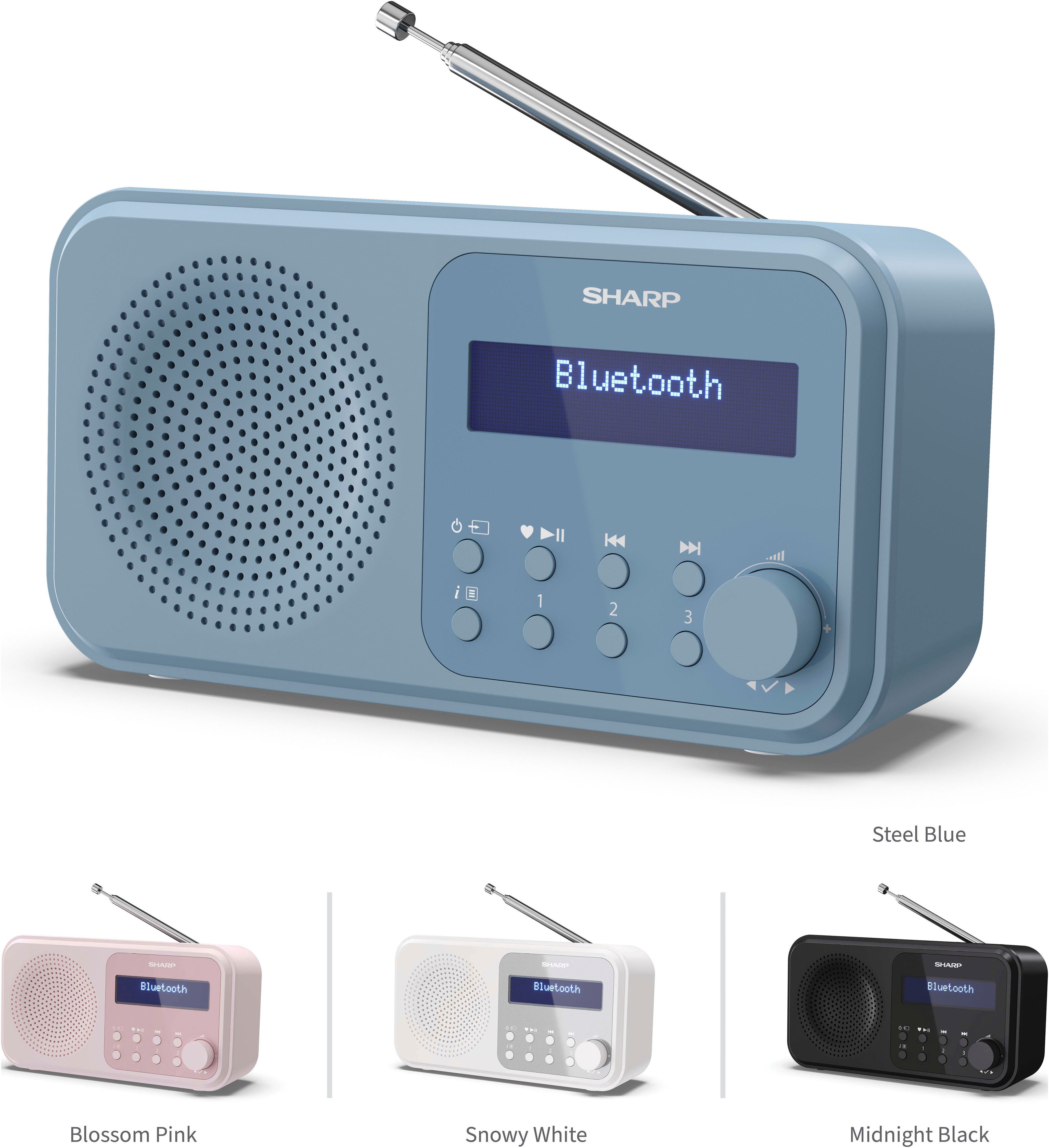 Sharp DR-P420 Radio (Digitalradio (DAB), FM-Tuner mit RDS, 2 W)