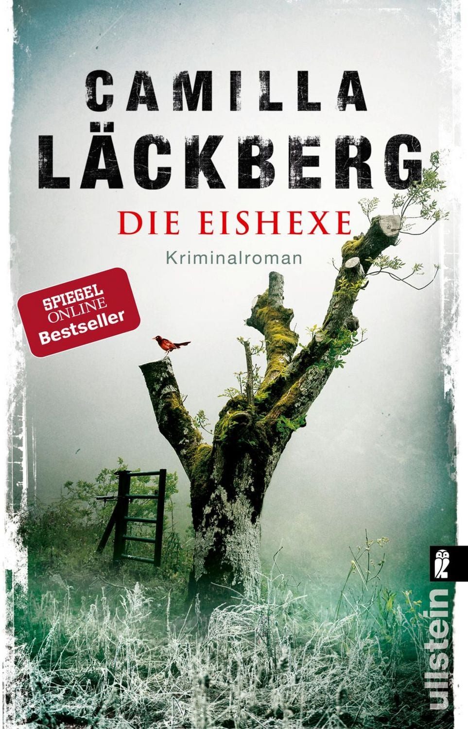 Die Eishexe / Camilla Läckberg, Kriminalroman, Die skandinavische Krimi-Serie der schwedischen Bestsellerautorin