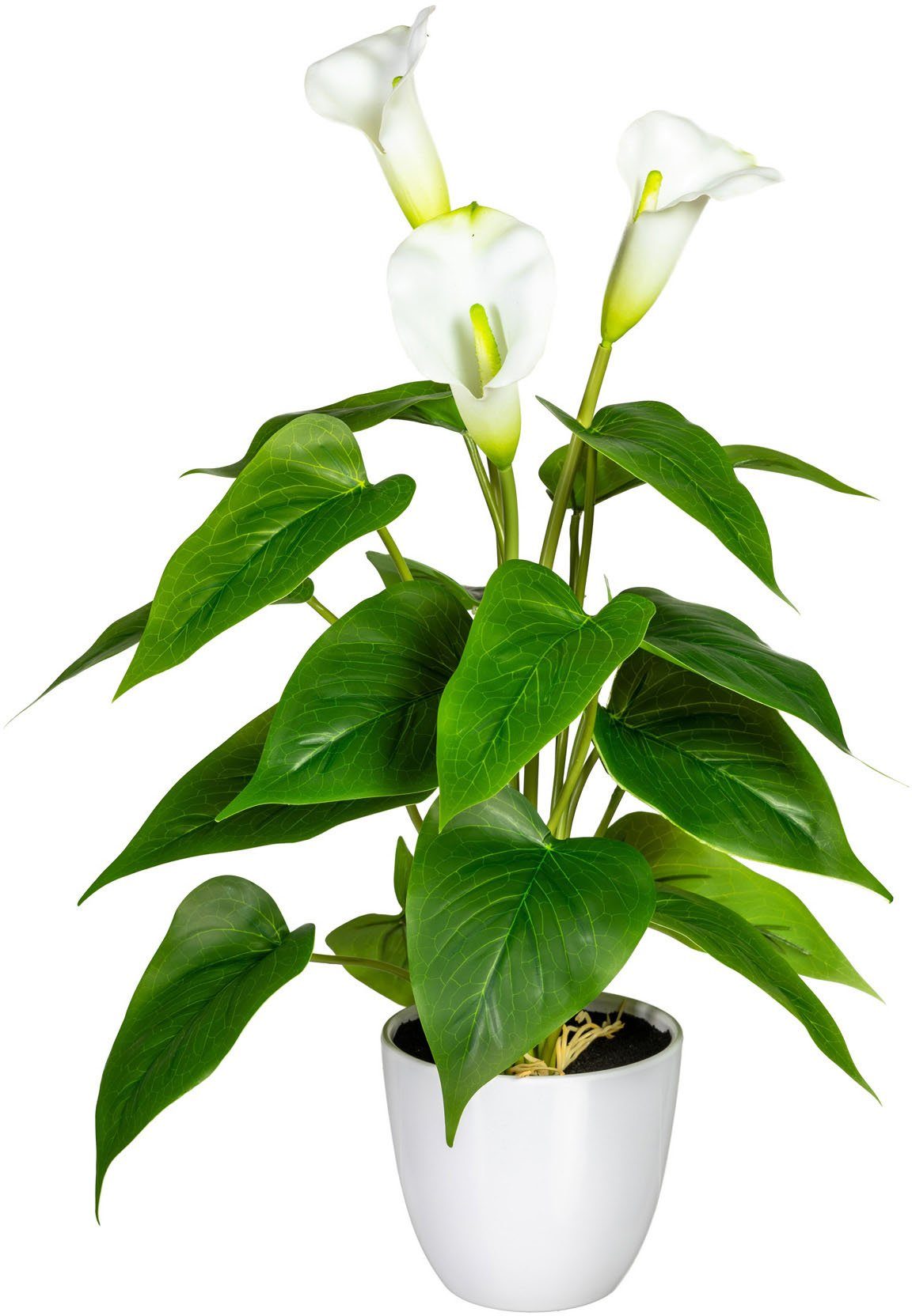 Kunstpflanze Lesum Calla, OTTO home, Höhe 44 cm, im Topf