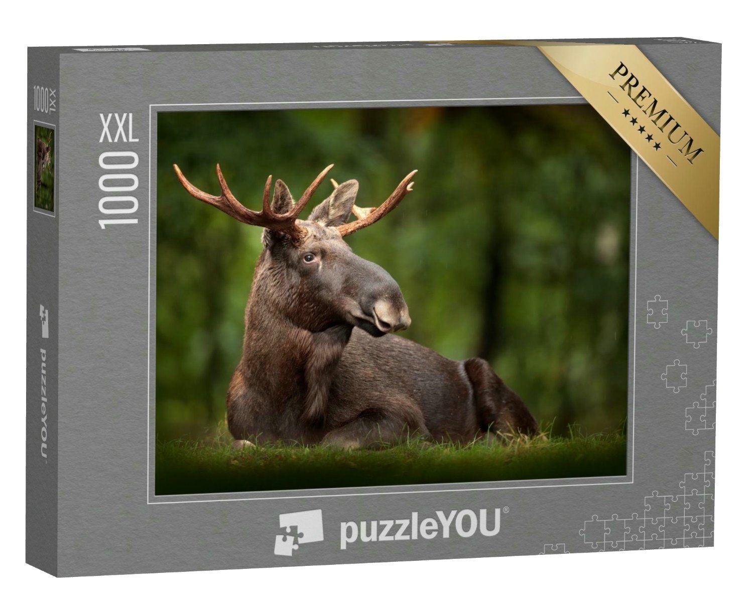 puzzleYOU Puzzle Elch: schönes Tier in der Natur, 1000 Puzzleteile, puzzleYOU-Kollektionen Elche, Tiere in Wald & Gebirge