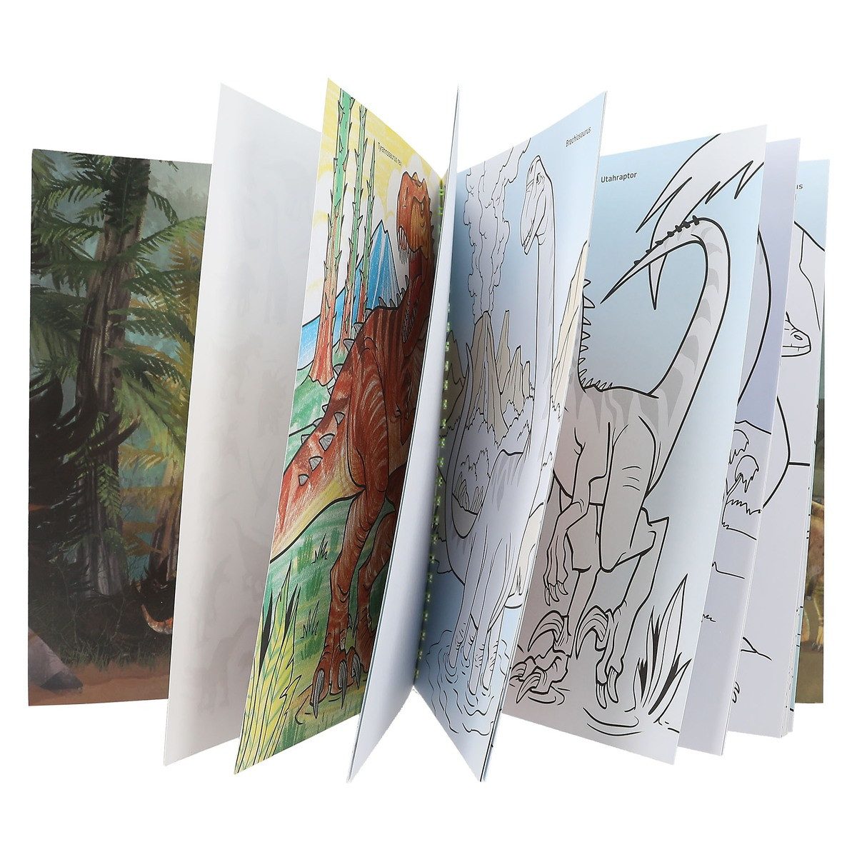 Dino World Buntstift DEPESCHE DINO World Malbuch mit Buntstiften – Bild 4 von 5