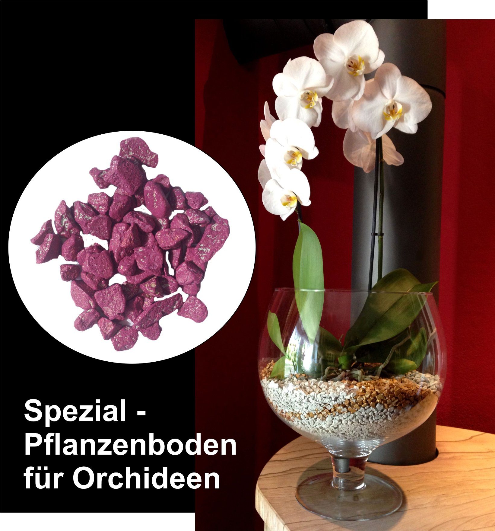colomi Pflanzgranulat Spezial Pflanzboden für Orchideen - patentiert fuchsia, 1 Liter