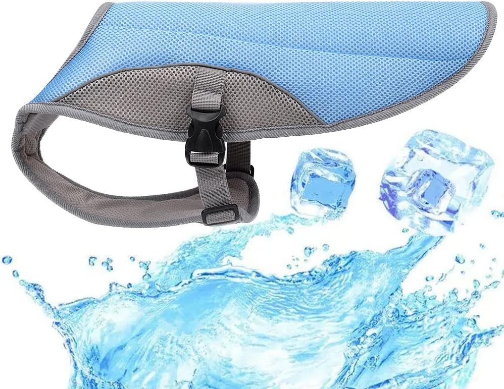 FELIXLEO Hundeweste Leichtgewicht Hund Kühlweste Blau L Kühljacke für Training Wandern