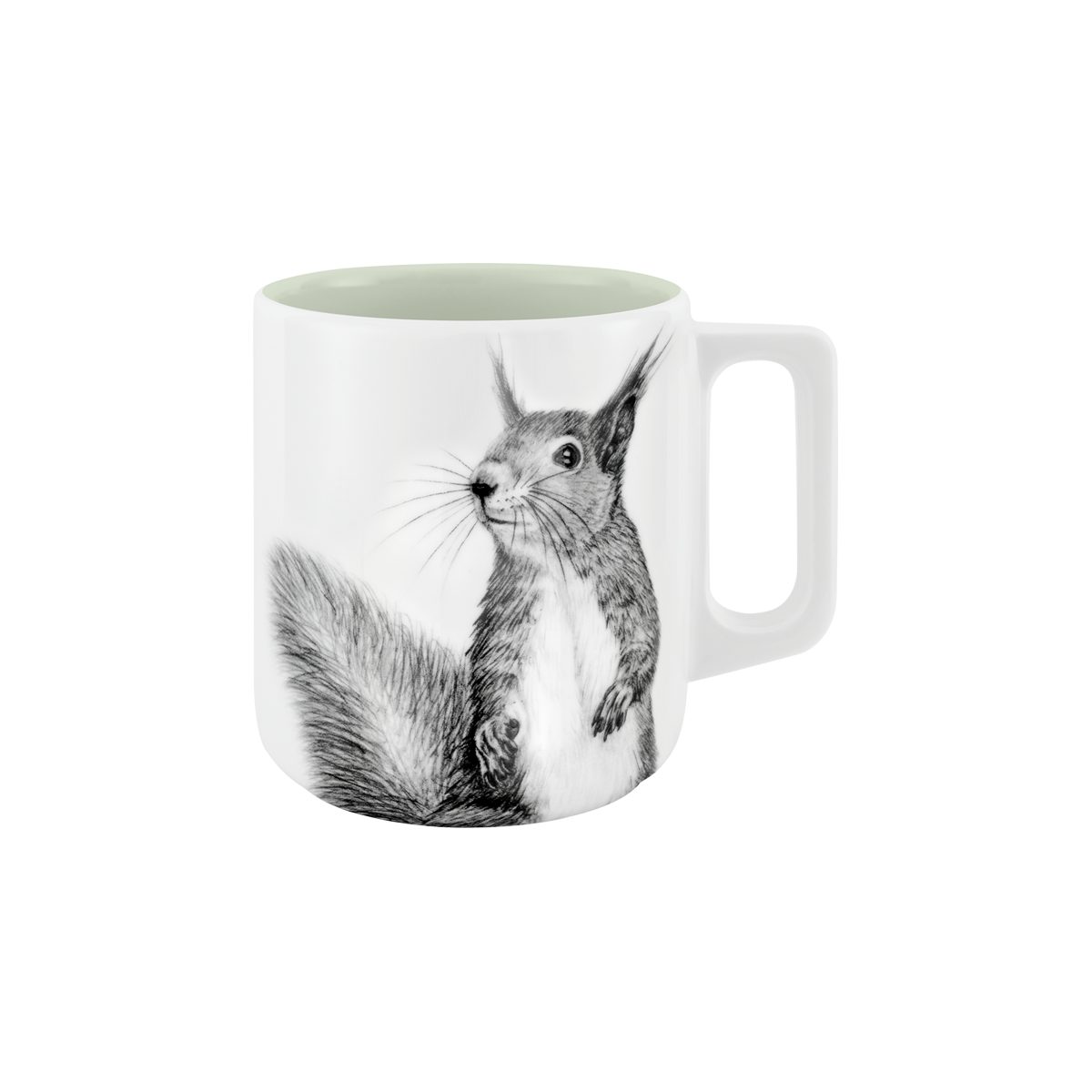 mittelpunkt. Tasse Tiermotiv . Eichhörnchen