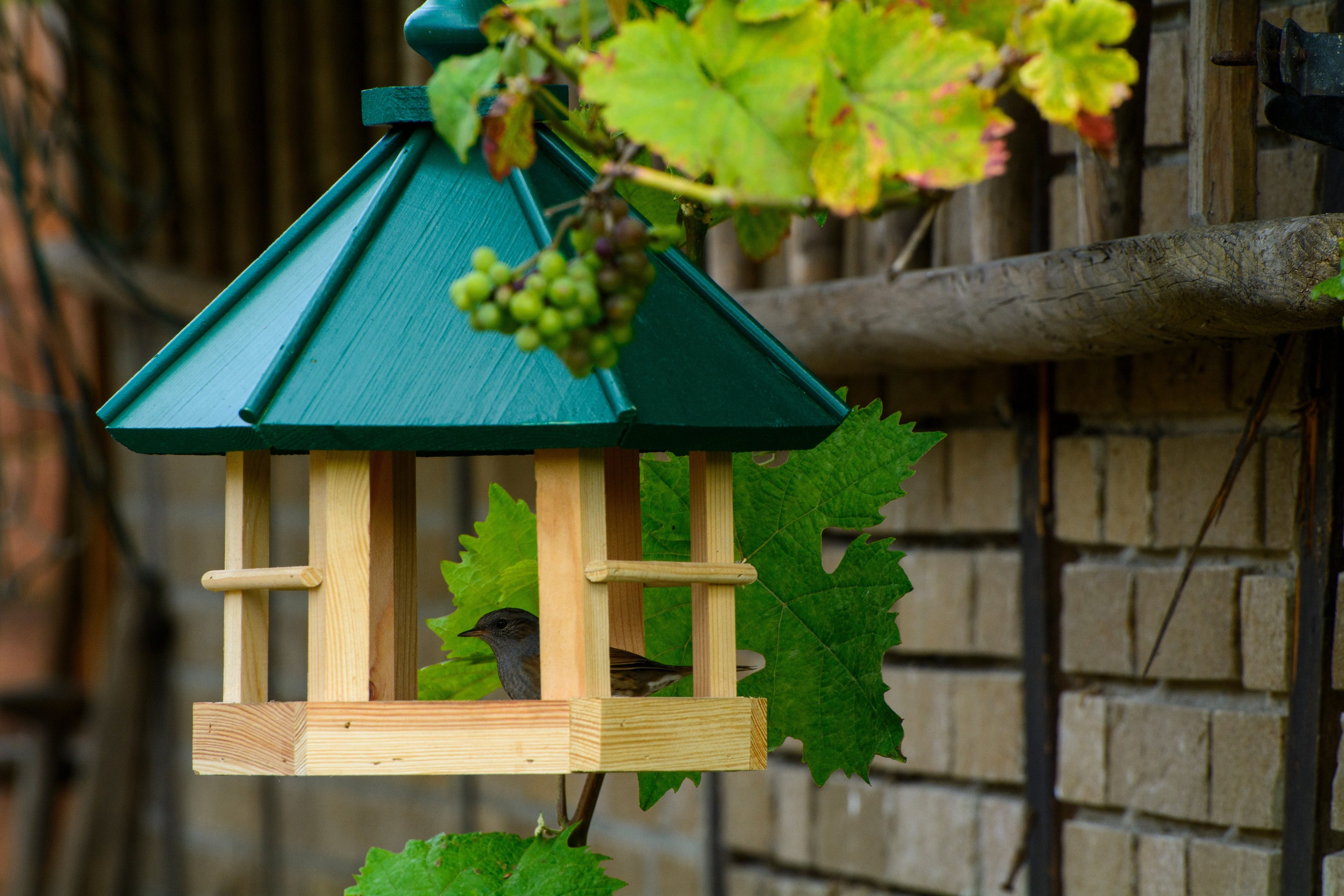 dobar Vogelhaus Klassisches 6-eckiges Vogelhaus zum günstig online kaufen