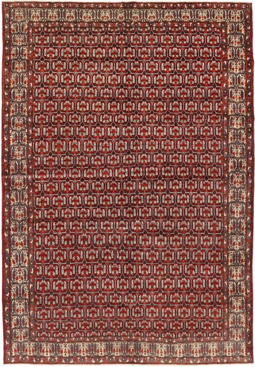 Carpet Avenue Teppich Afshar 305x203, Rechteck, Höhe: 9 mm