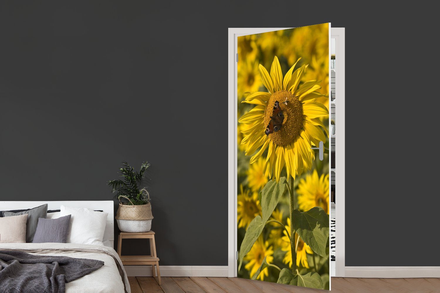 MuchoWow Türtapete Tagpfauenauge Schmetterling auf einer (1 Matt, für Türaufkleber, 75x205 Tür, Fototapete St), cm bedruckt, Sonnenblume