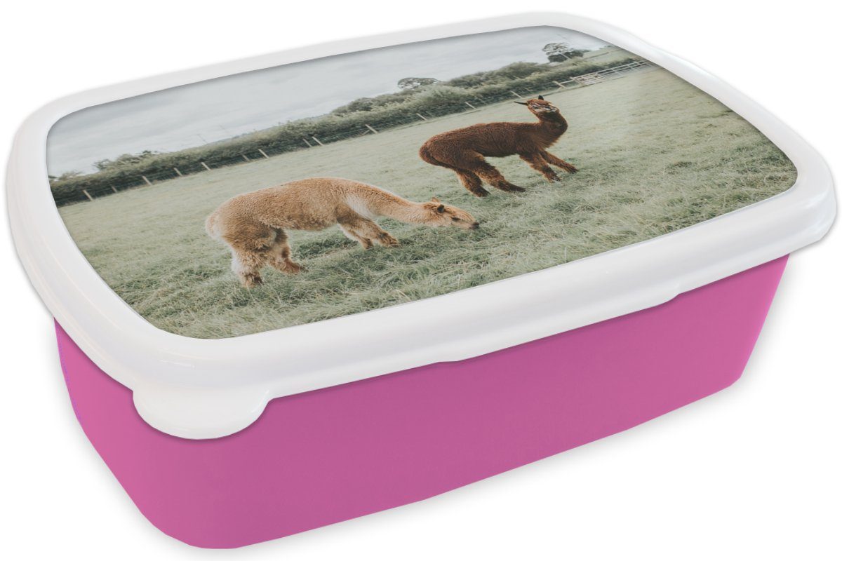 für Brotdose rosa Lunchbox Brotbox Kinder, (2-tlg), - Tiere Snackbox, Mädchen, MuchoWow Kunststoff Alpakas Kunststoff, - Gras, Erwachsene,