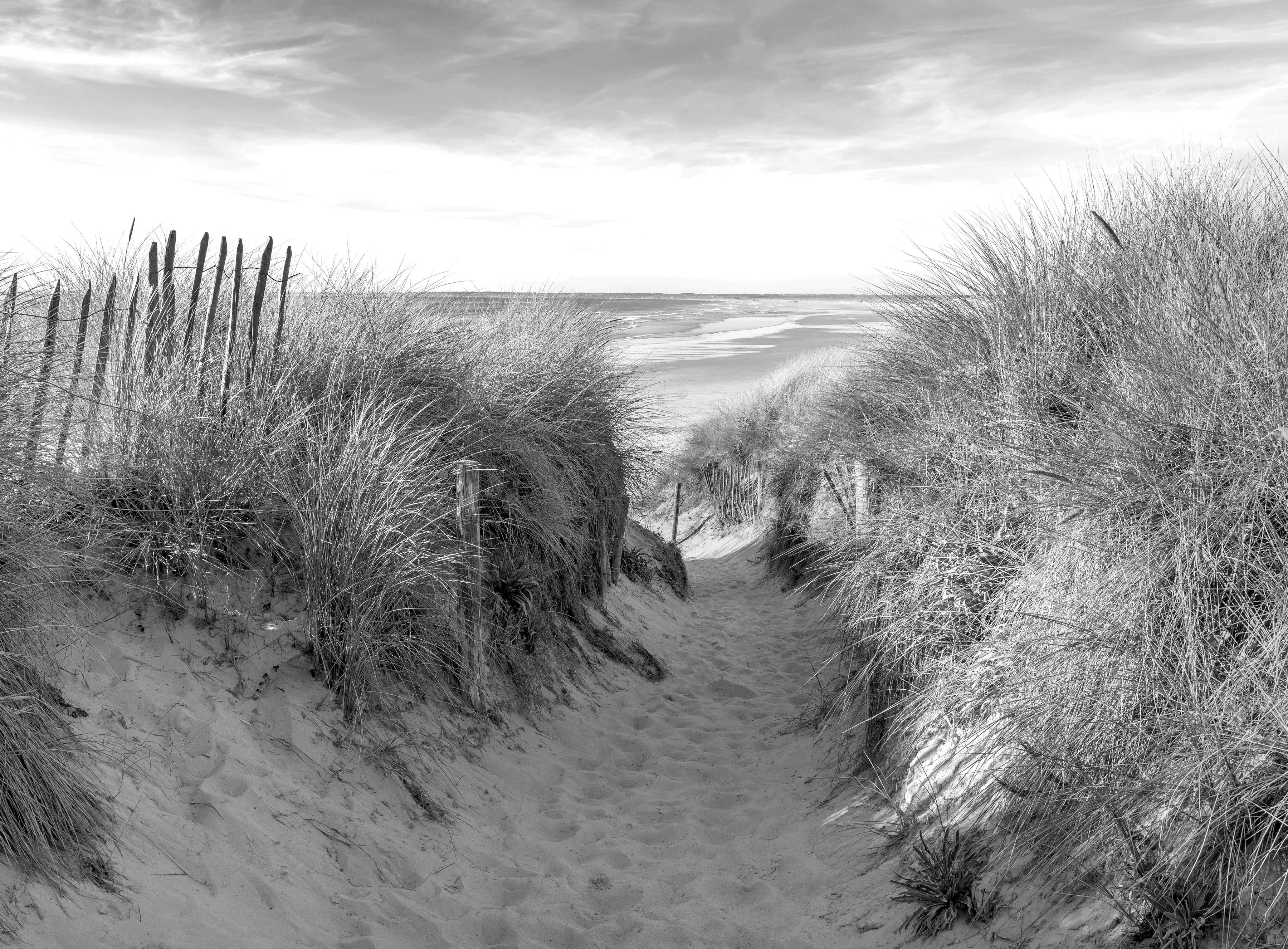 Weiß Fototapete Schwarz Strand & Papermoon