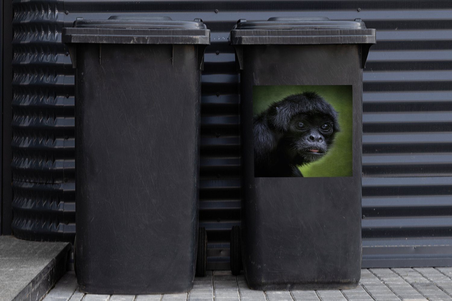MuchoWow Wandsticker eines Abfalbehälter St), Sticker, Ein Mülltonne, Mülleimer-aufkleber, (1 Porträt Klammeraffen Container
