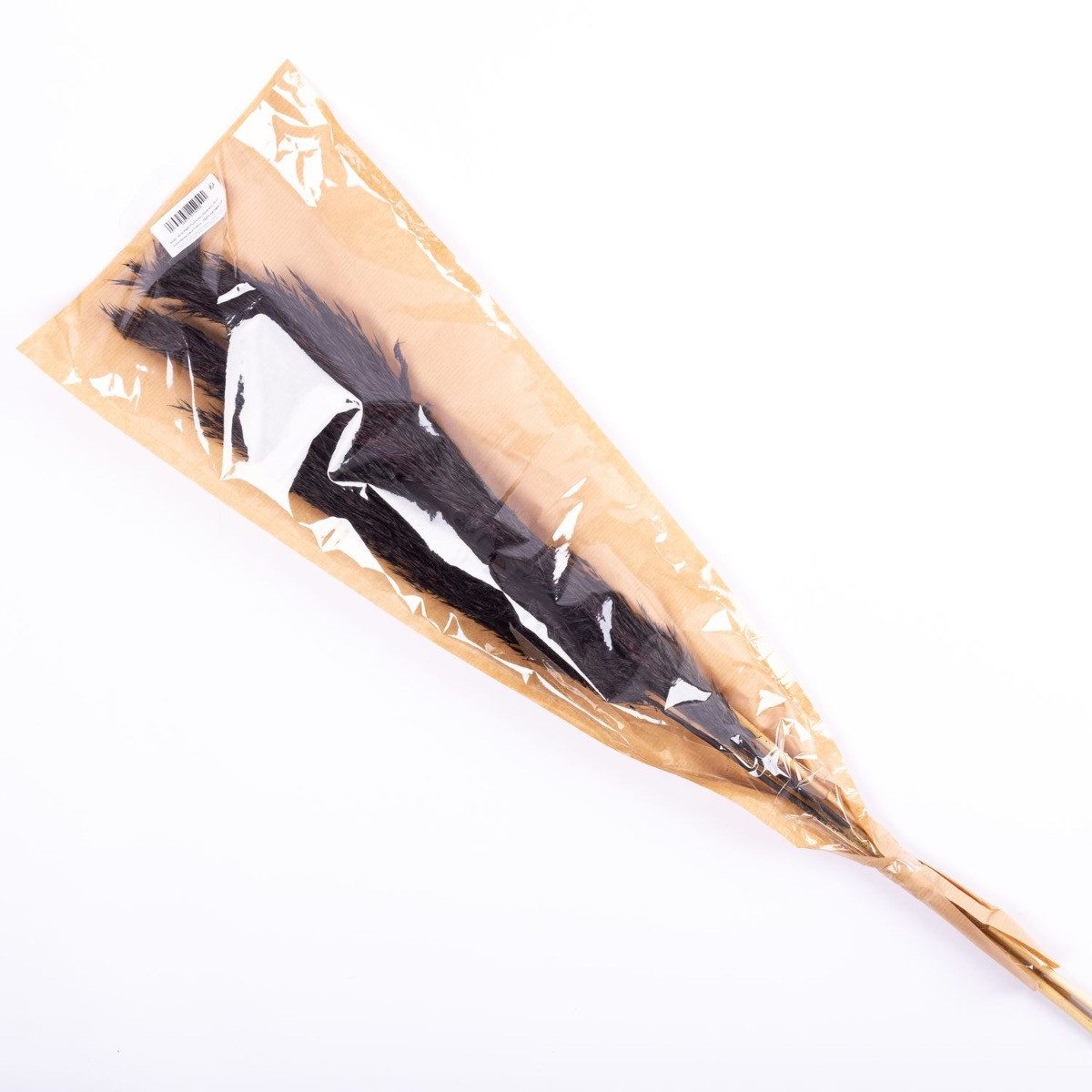 Trockenblume Trockengras Schilf Rispen Bund Alessandro, schwarz, 75 cm, artplants, Höhe 75.0 cm