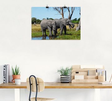 Artland Wandbild Afrikanische Elefanten, Wildtiere (1 St), als Leinwandbild, Poster in verschied. Größen