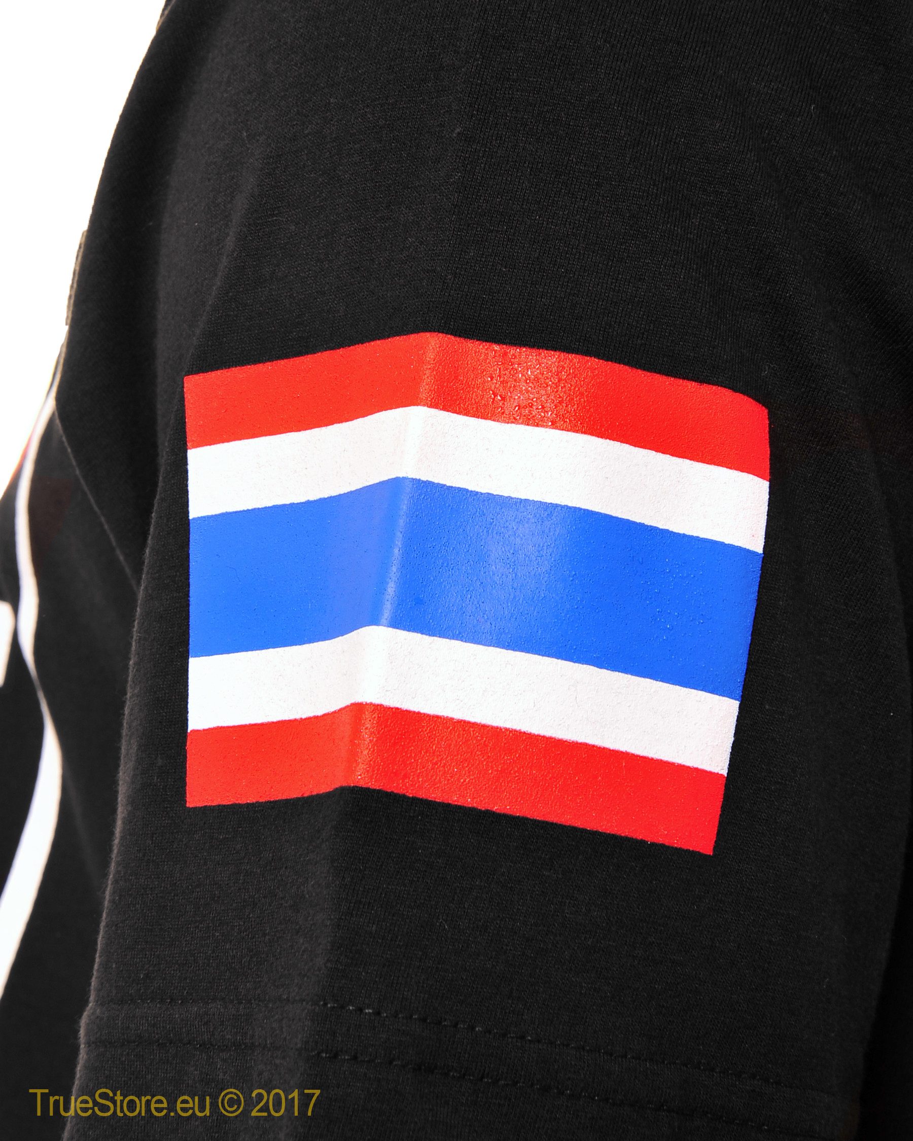 Fairtex T-Shirt T-Shirt Fight Team TST51 günstig online kaufen