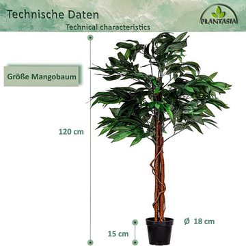 Kunstbaum Künstlicher Mangobaum Kunstpflanze Dekobaum Mangobaum, PLANTASIA, Höhe 120,00 cm, 180 cm oder 120 cm, Echtholzstamm, Größenwahl