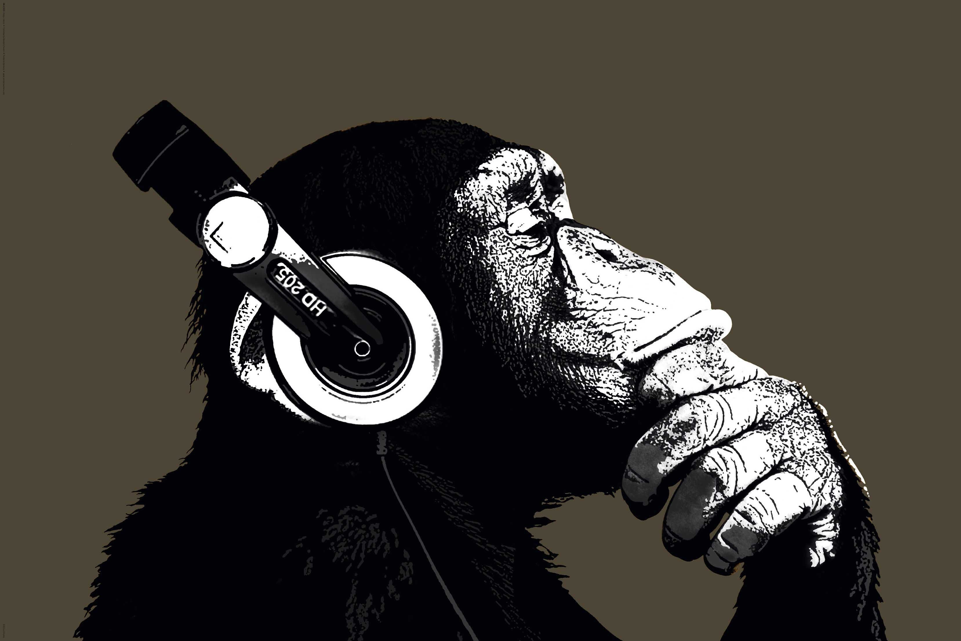 Home affaire Bild »The Chimp«-Otto